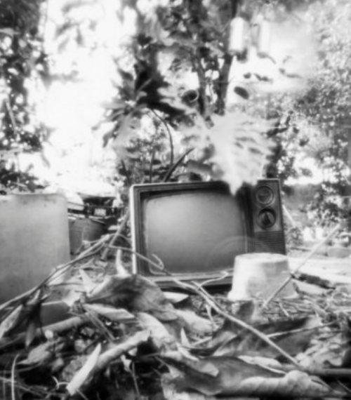 “T.V.”, 2024