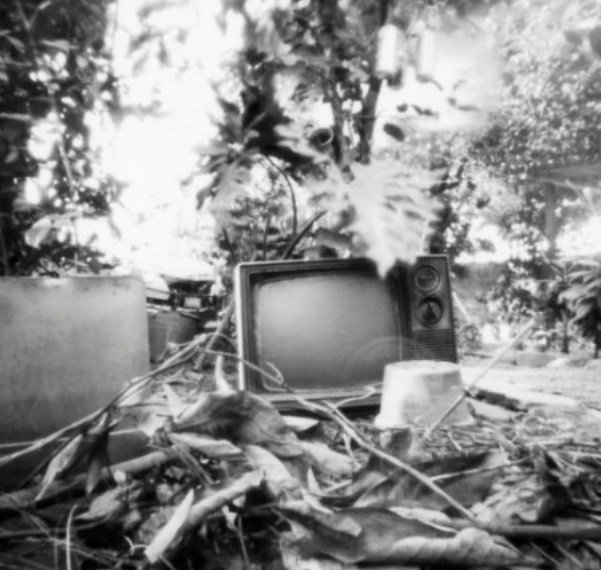 “T.V.”, 2024