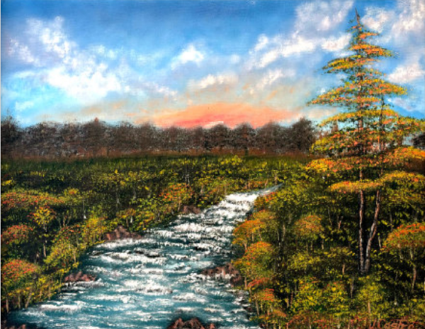 “ESCAPE DE LA NATURALEZA”