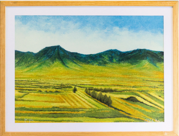 Valle de Tlacolula desde el sur